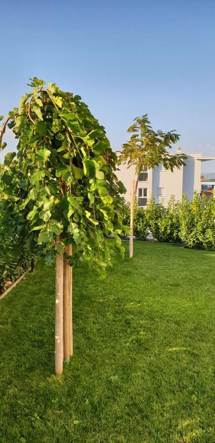 Sea View Apartments Žaborić Exteriér fotografie